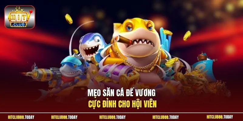 Mẹo săn cá Đế Vương cực đỉnh cho hội viên